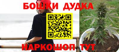 мдпв Новодвинск