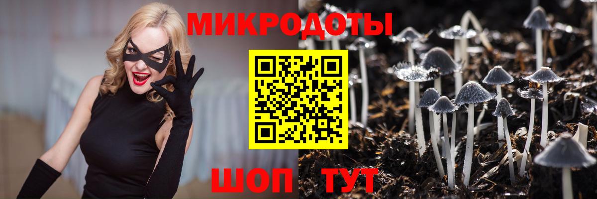 где купить наркоту  Галлюциногенные грибы GOLDEN TEACHER  Вход с VPN  Галлюциногенные грибы мухоморы  Топки 